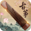 女主招奴黄金